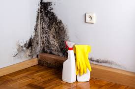 Asbestos and Lead Testing During Mold Inspection in Rocklin, CA